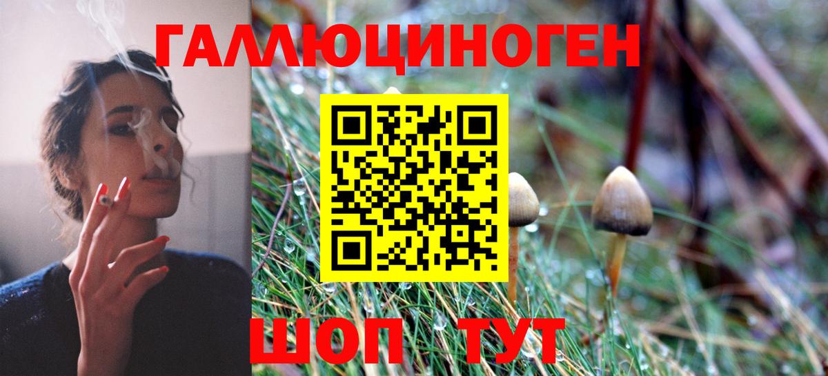 Галлюциногенные грибы GOLDEN TEACHER Кольчугино