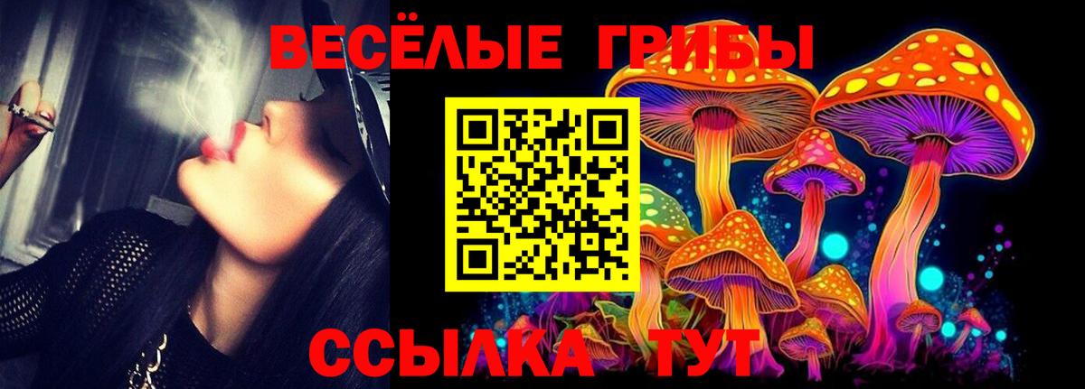 Кольчугино  Псилоцибиновые грибы ЛСД  Вход с VPN  Псилоцибиновые грибы прущие грибы 